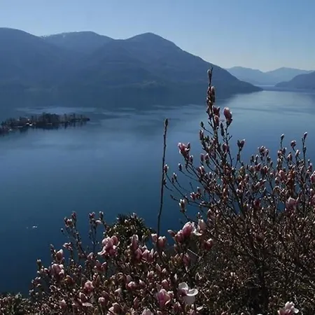 Casa Leula 2 1 2 Zimmerwohnung * Ronco sopra Ascona